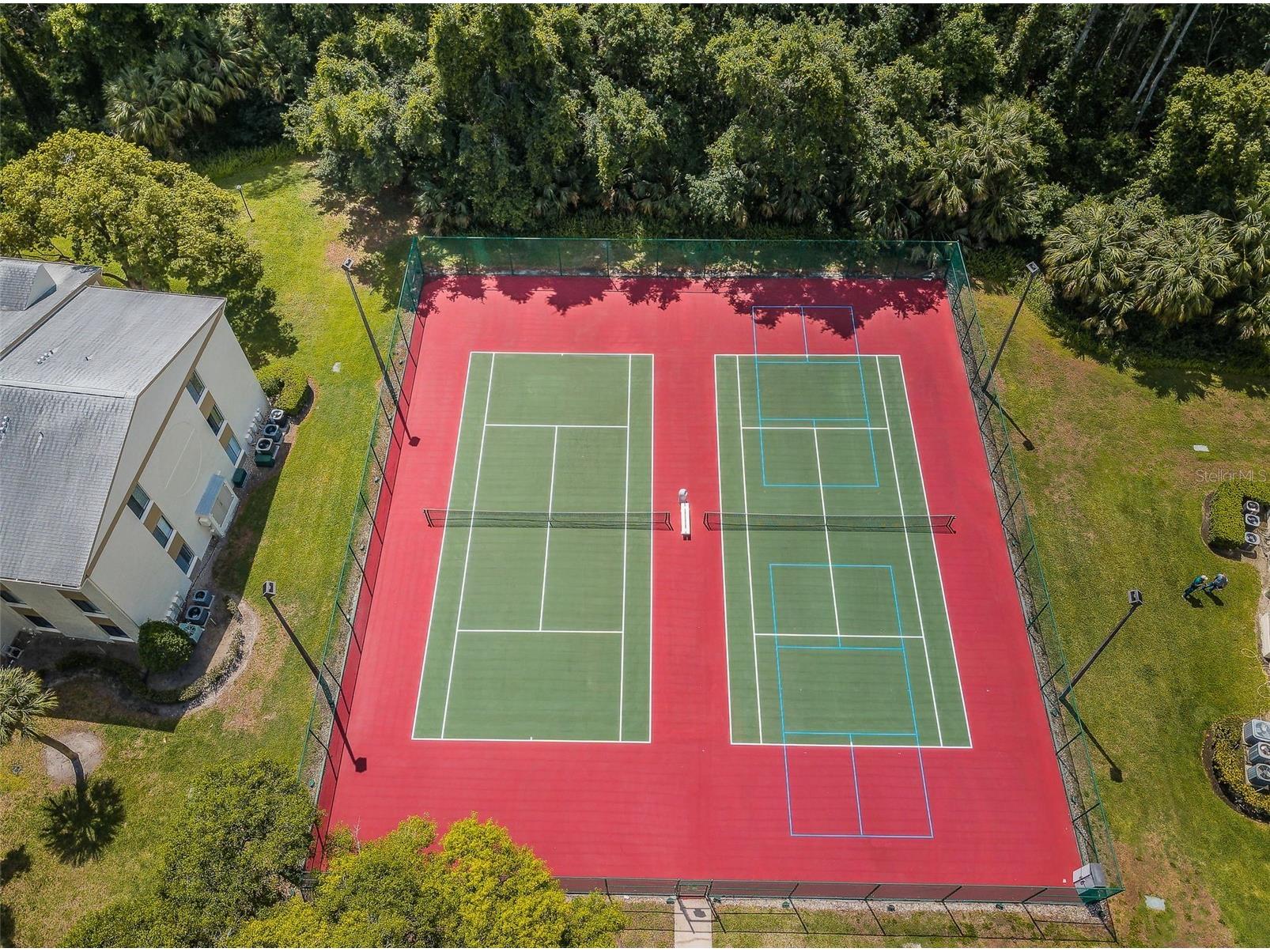 1333 Shady Pine Way #F Tarpon Springs FL 34688 TB8525963 image41