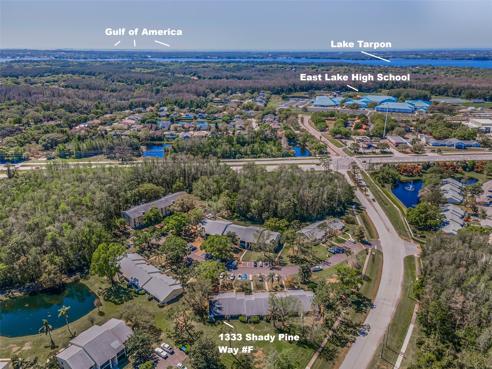 1333 Shady Pine Way #F Tarpon Springs FL 34688 TB8525963 image43