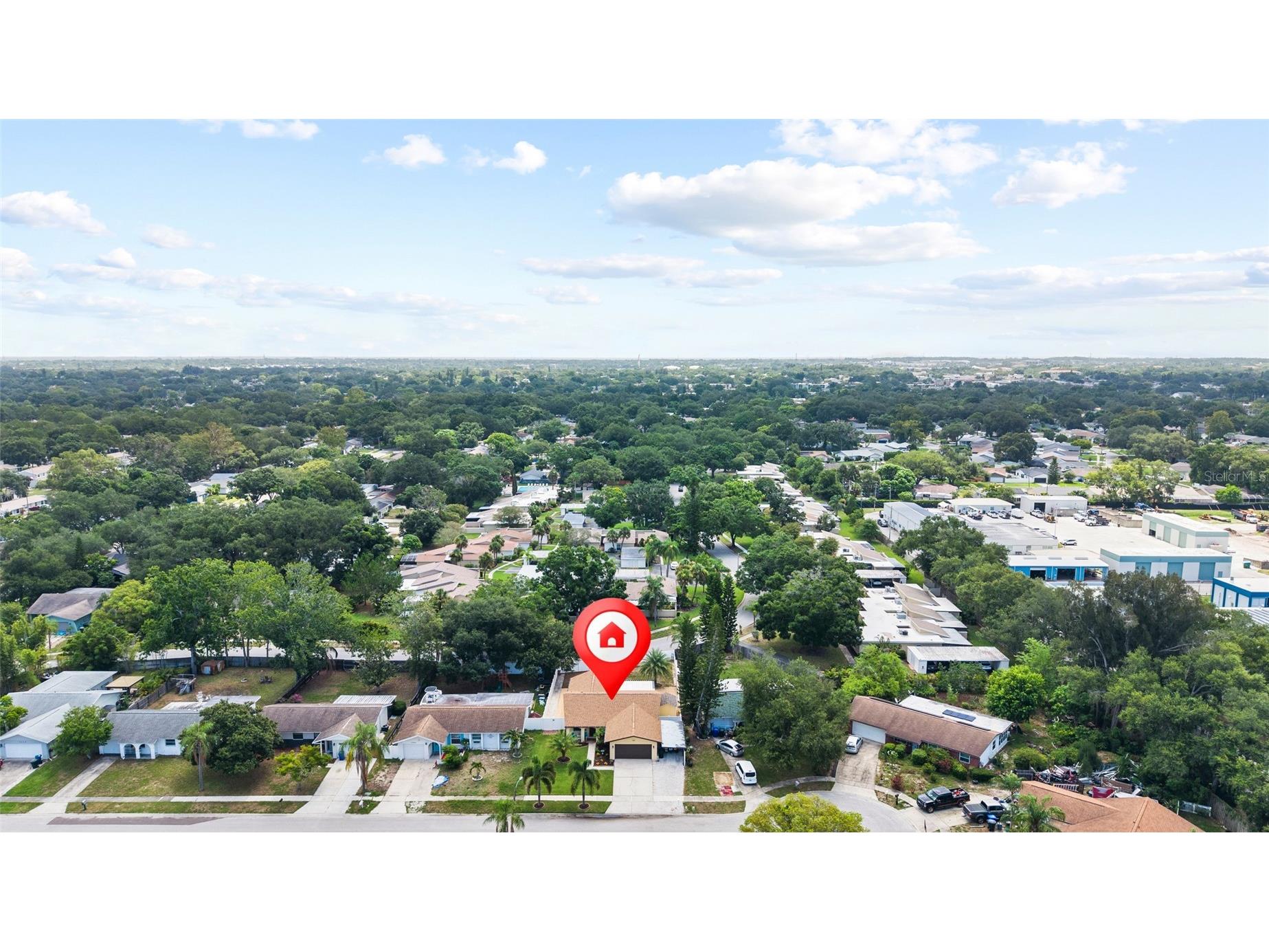 1333 Wildwood Court Dunedin FL 34698 TB8528716 image25