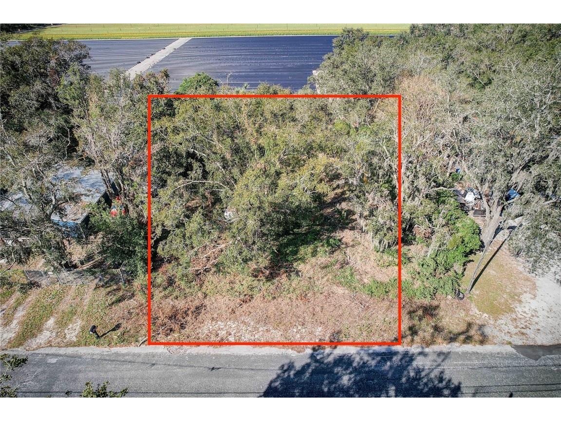 1333 Wilkinson Drive Plant City FL 33566 TB8313437 image1