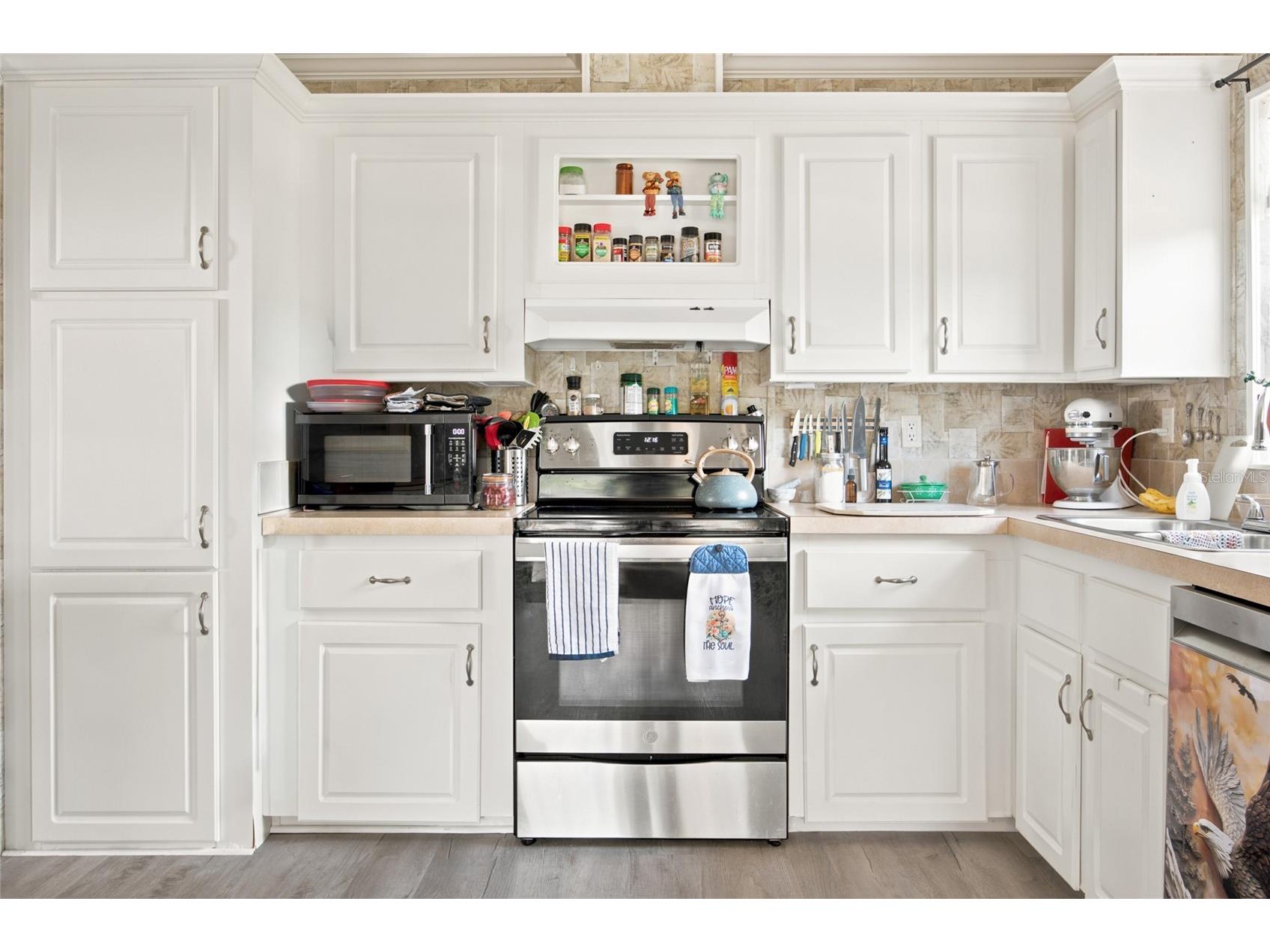13330 SE 21st Place Morriston FL 32668 OM727258 image13