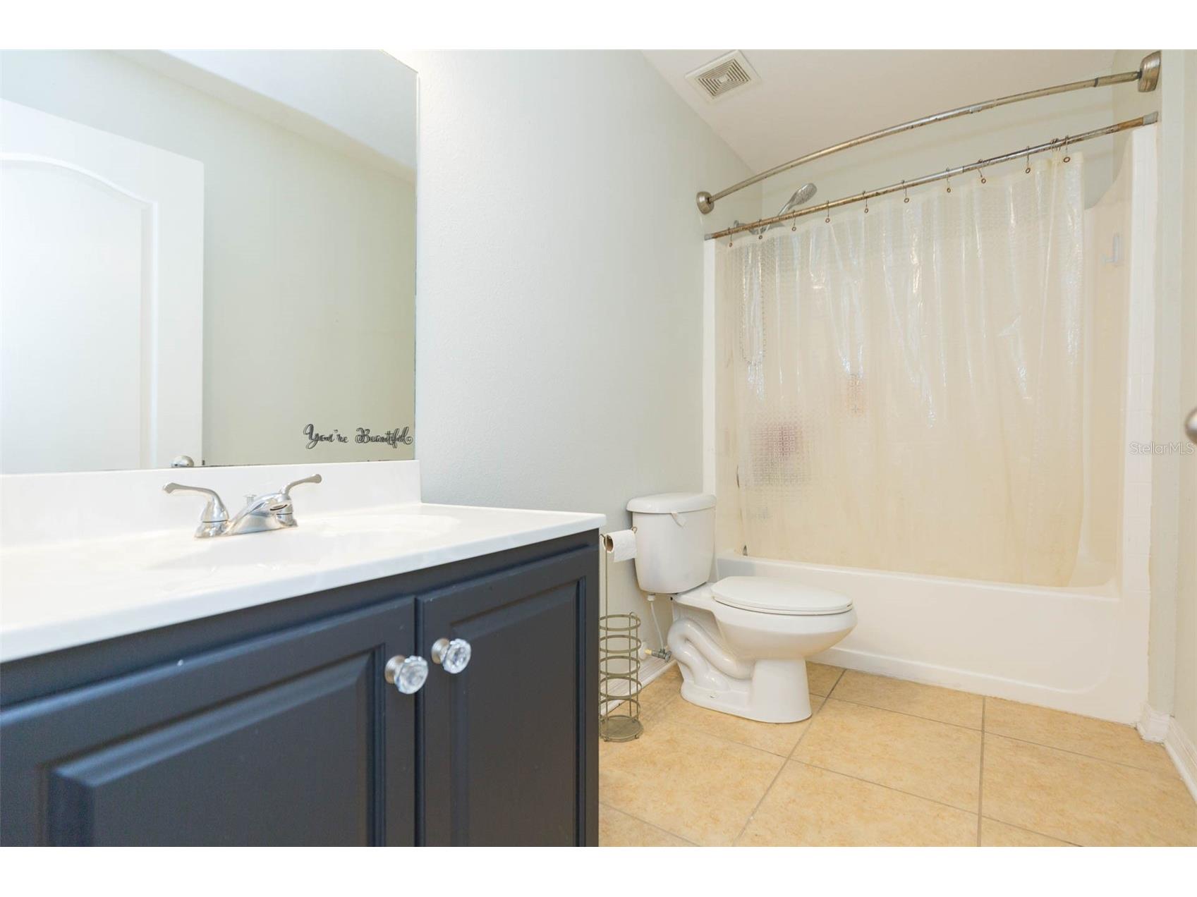13330 Waterford Castle Drive Dade City FL 33525 TB8480575 image28