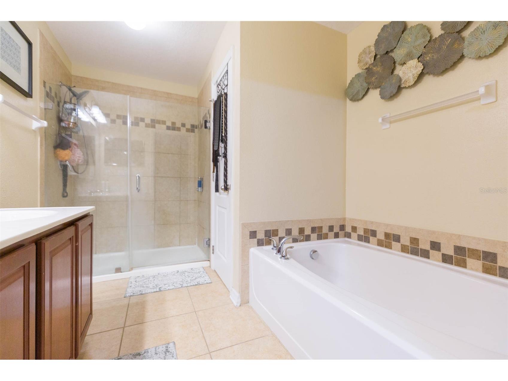 13330 Waterford Castle Drive Dade City FL 33525 TB8480575 image37
