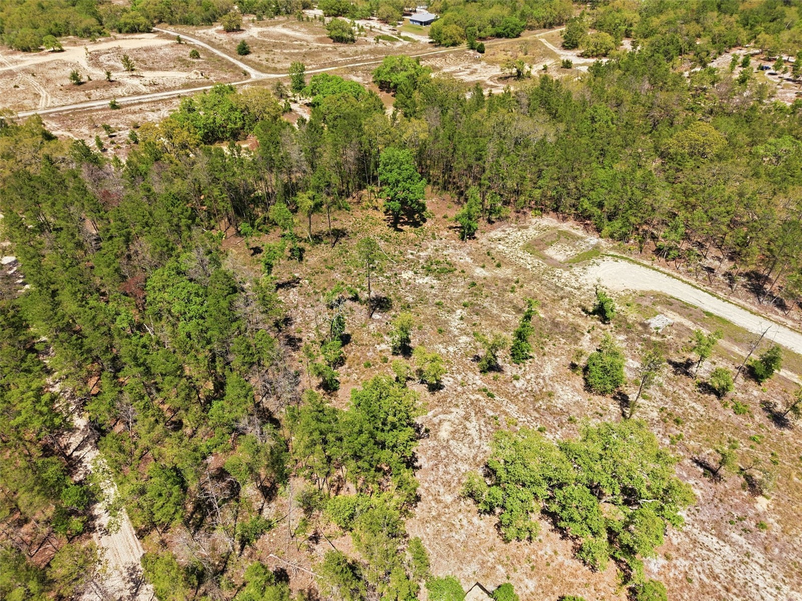 13331 Haven (Lot 4) Trail Weeki Wachee FL 34614 W7884910 image11