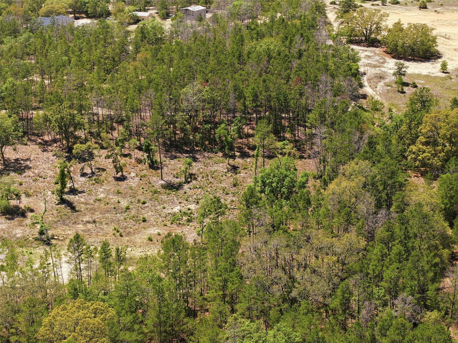 13331 Haven (Lot 4) Trail Weeki Wachee FL 34614 W7884910 image15