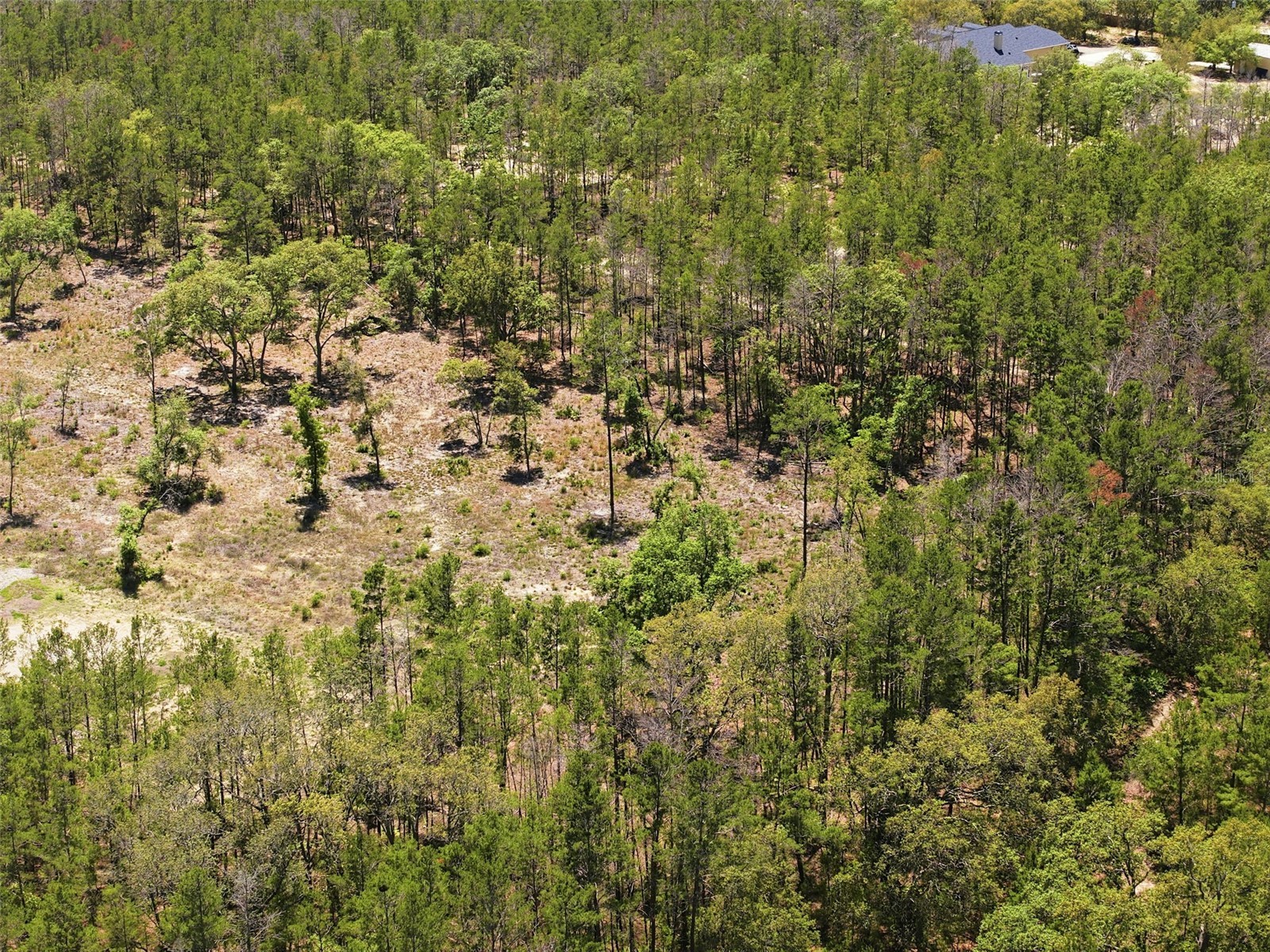 13331 Haven (Lot 4) Trail Weeki Wachee FL 34614 W7884910 image16