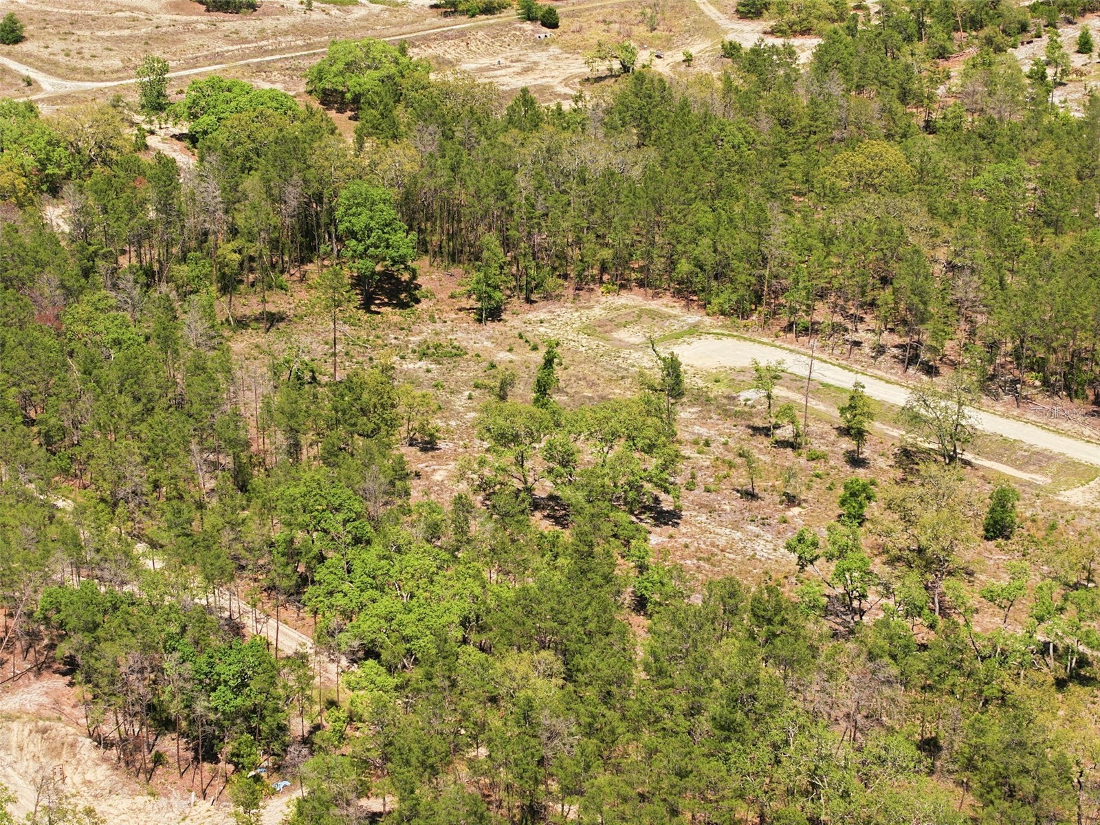 13331 Haven (Lot 4) Trail Weeki Wachee FL 34614 W7884910 image17