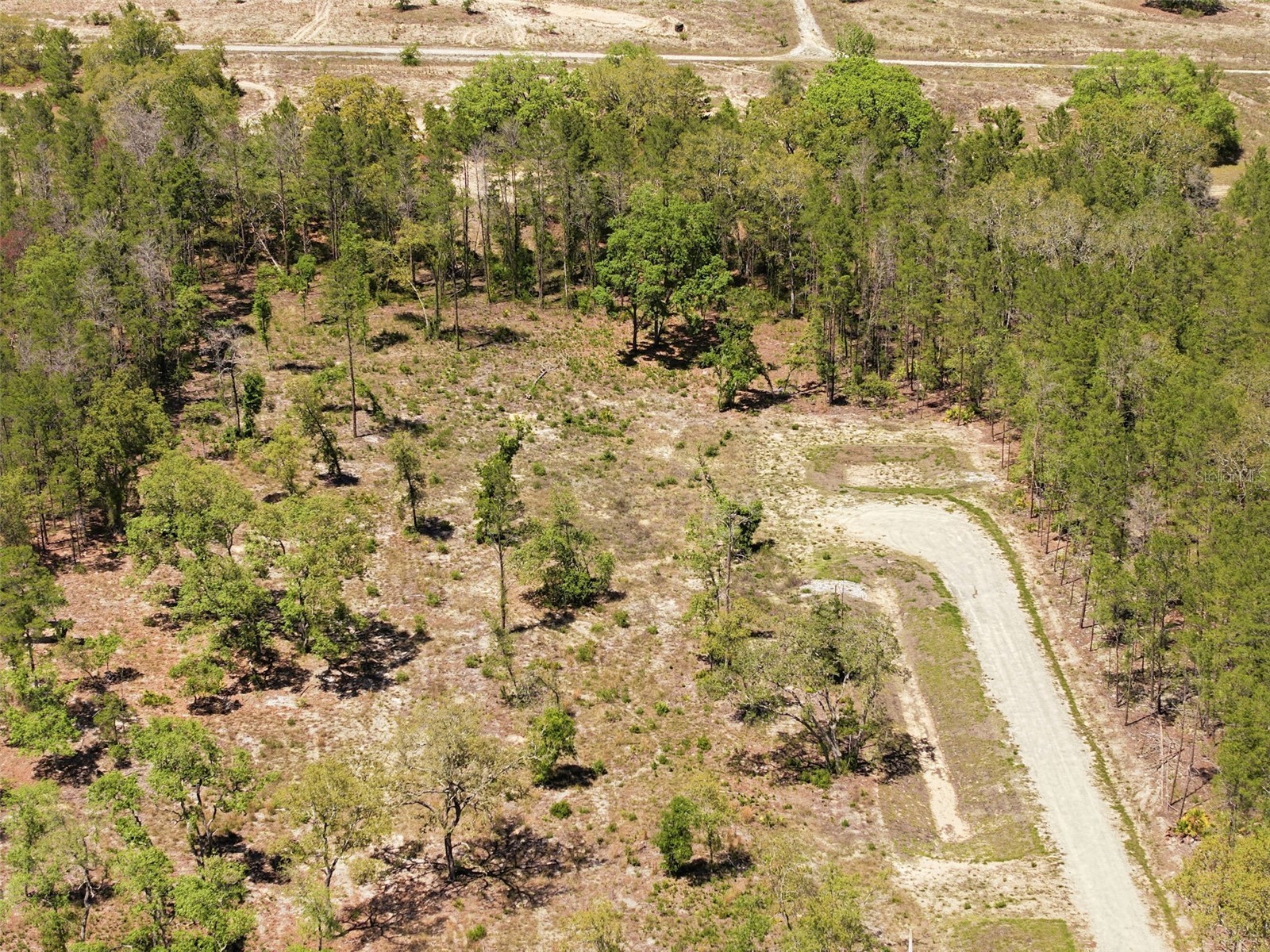 13331 Haven (Lot 4) Trail Weeki Wachee FL 34614 W7884910 image18