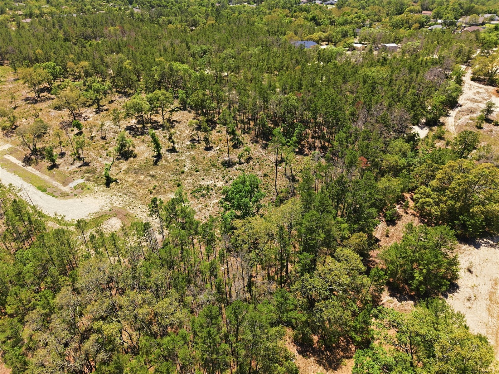 13331 Haven (Lot 4) Trail Weeki Wachee FL 34614 W7884910 image7