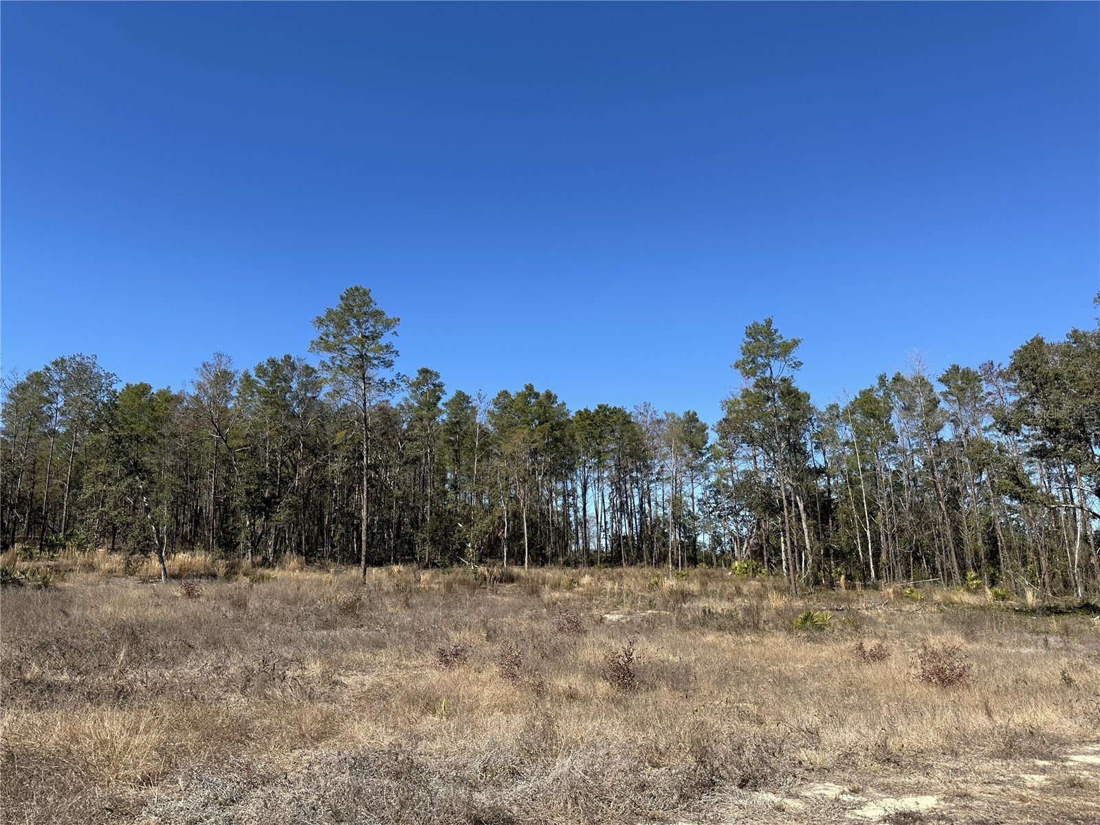 13331 Haven Trail Weeki Wachee FL 34614 TB8475150 image1