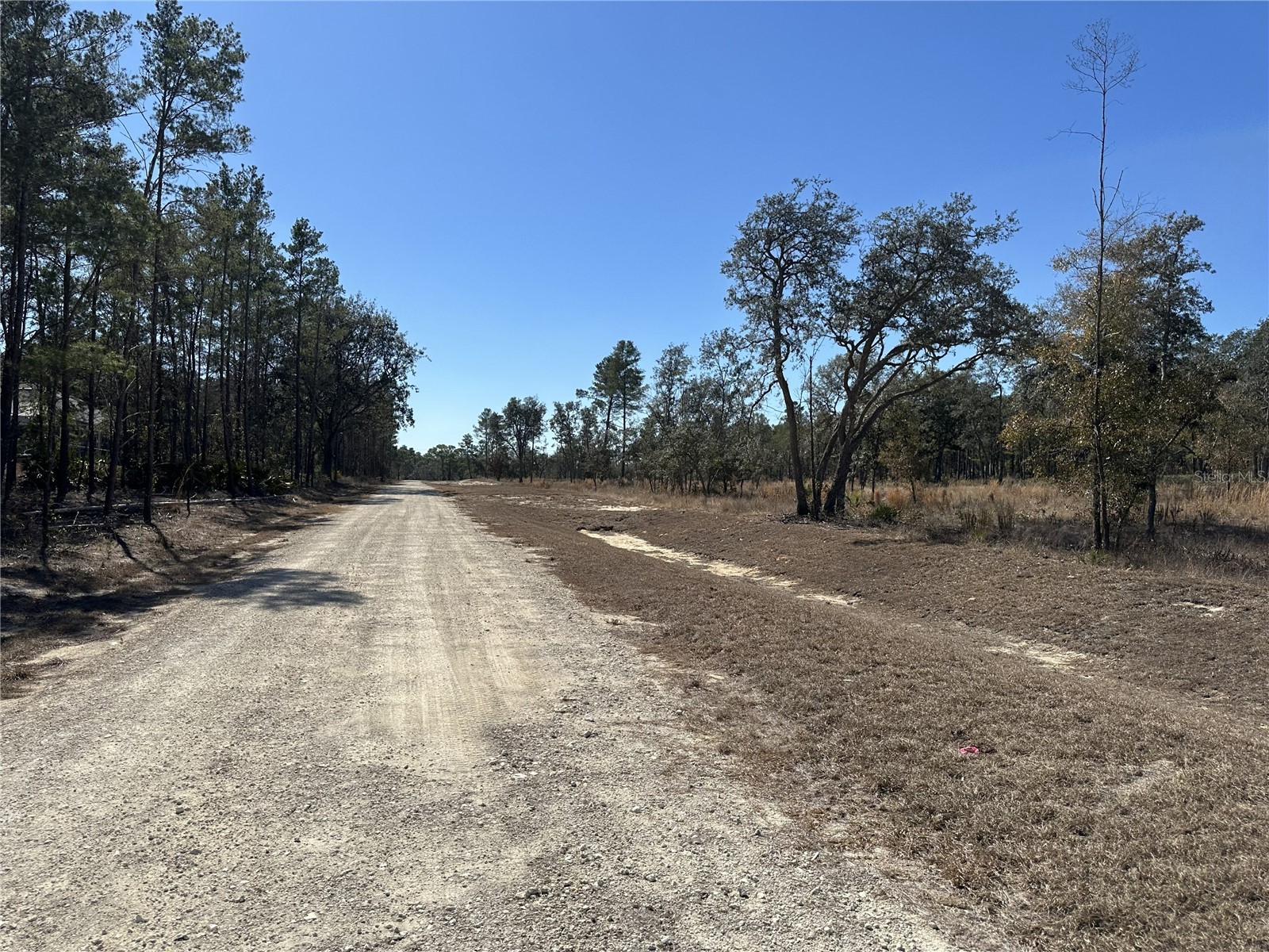 13331 Haven Trail Weeki Wachee FL 34614 TB8475150 image3