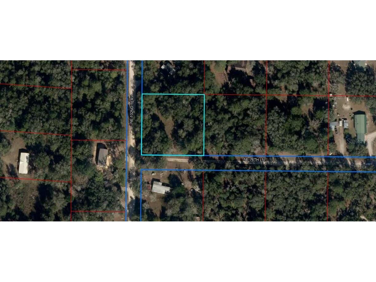 13331 NE 76th Lane Bronson FL 32621 OM670212 image1