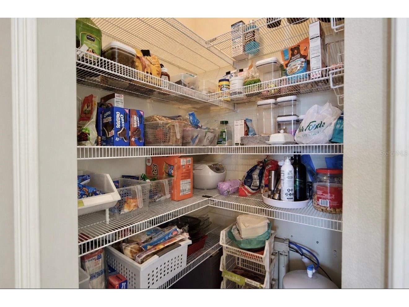 13332 Graham Yarden Drive Riverview FL 33579 TB8523395 image24