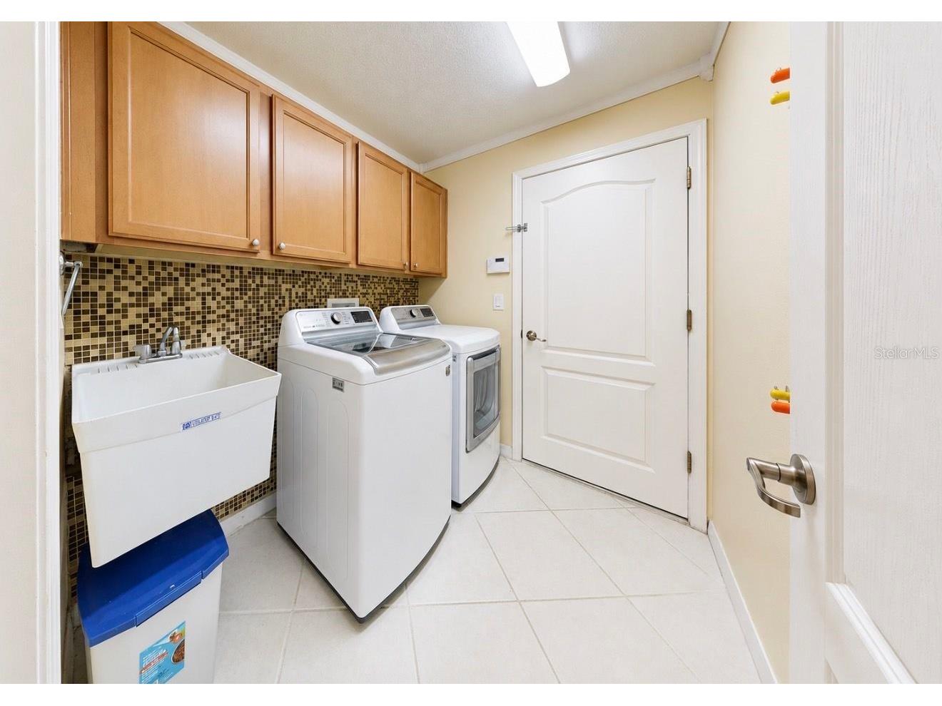 13332 Graham Yarden Drive Riverview FL 33579 TB8523395 image49
