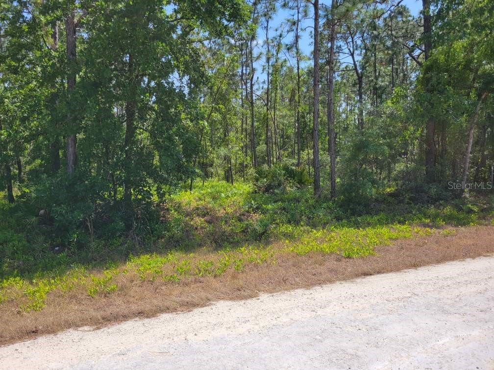 13332 Schick Avenue Weeki Wachee FL 34614 T3525073 image1