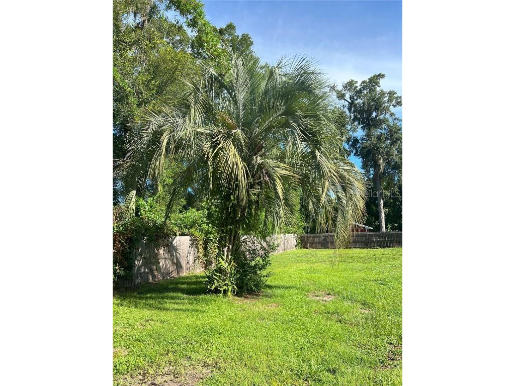 13332 SE 40th Avenue Belleview FL 34420 OM708192 image15