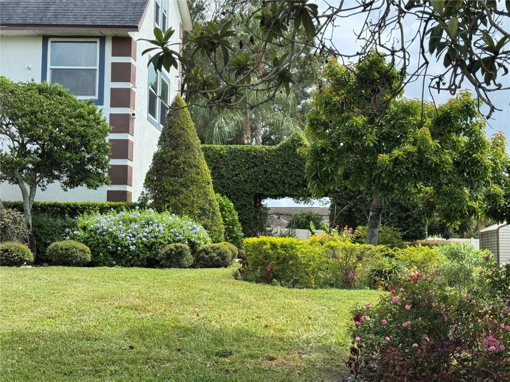 13332 Suburban Terrace Winter Garden FL 34787 O6352569 image7