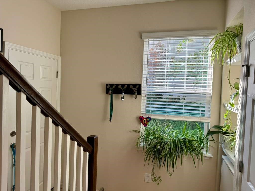 13333 Gorgona Isle Drive Windermere FL 34786 O6330691 image13