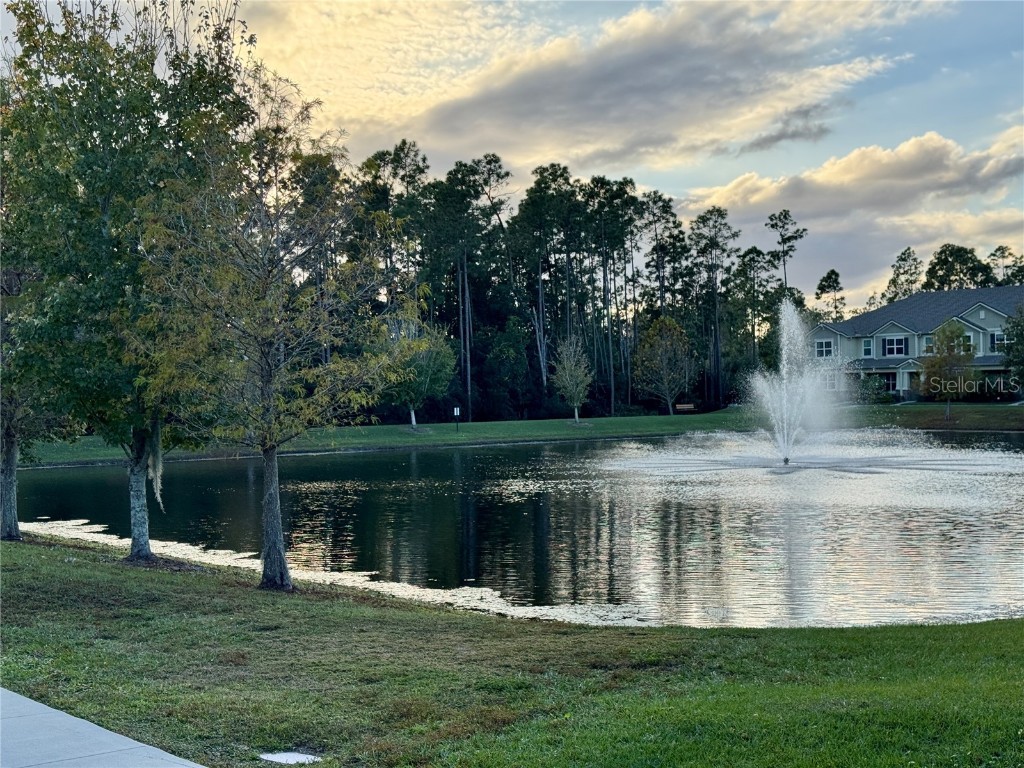 13333 Gorgona Isle Drive Windermere FL 34786 O6330691 image19