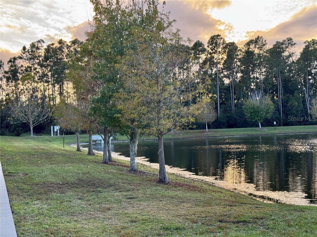 13333 Gorgona Isle Drive Windermere FL 34786 O6330691 image20