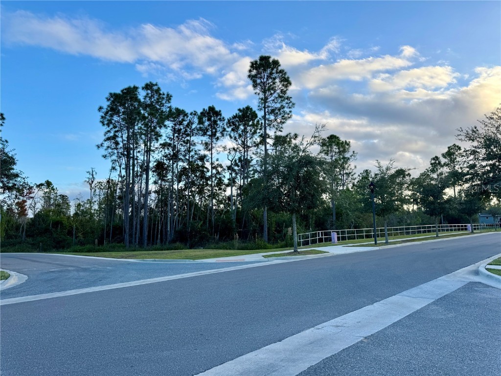 13333 Gorgona Isle Drive Windermere FL 34786 O6330691 image28