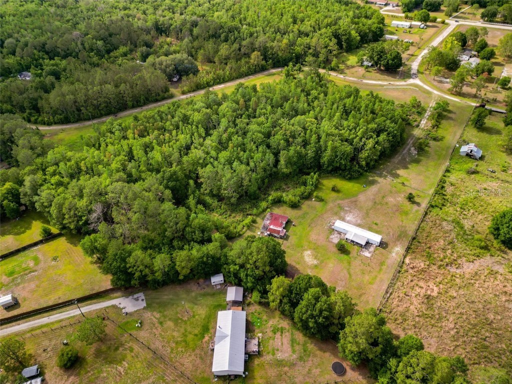 13333 Misti Loop Lakeland FL 33809 P4934755 image1