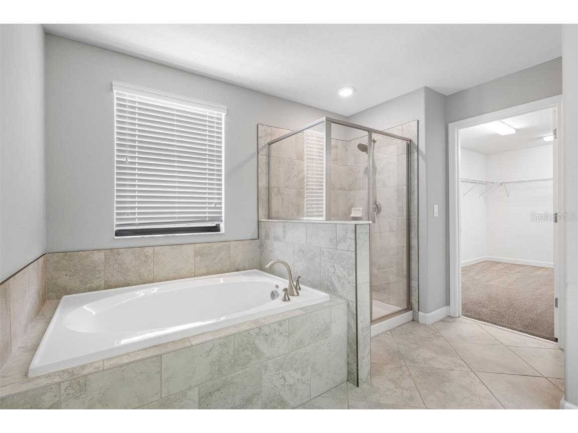 13333 Orca Sound Drive Riverview FL 33579 TB8449348 image17