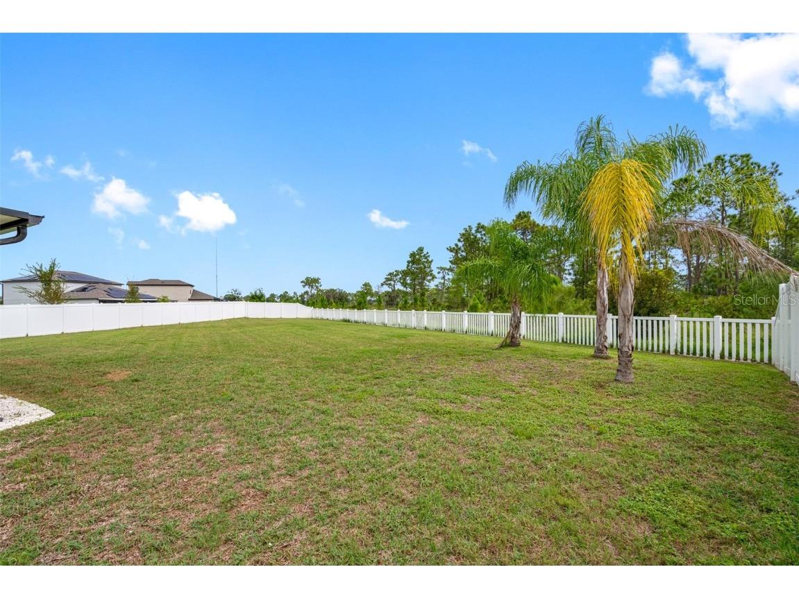 13333 Orca Sound Drive Riverview FL 33579 TB8449348 image2