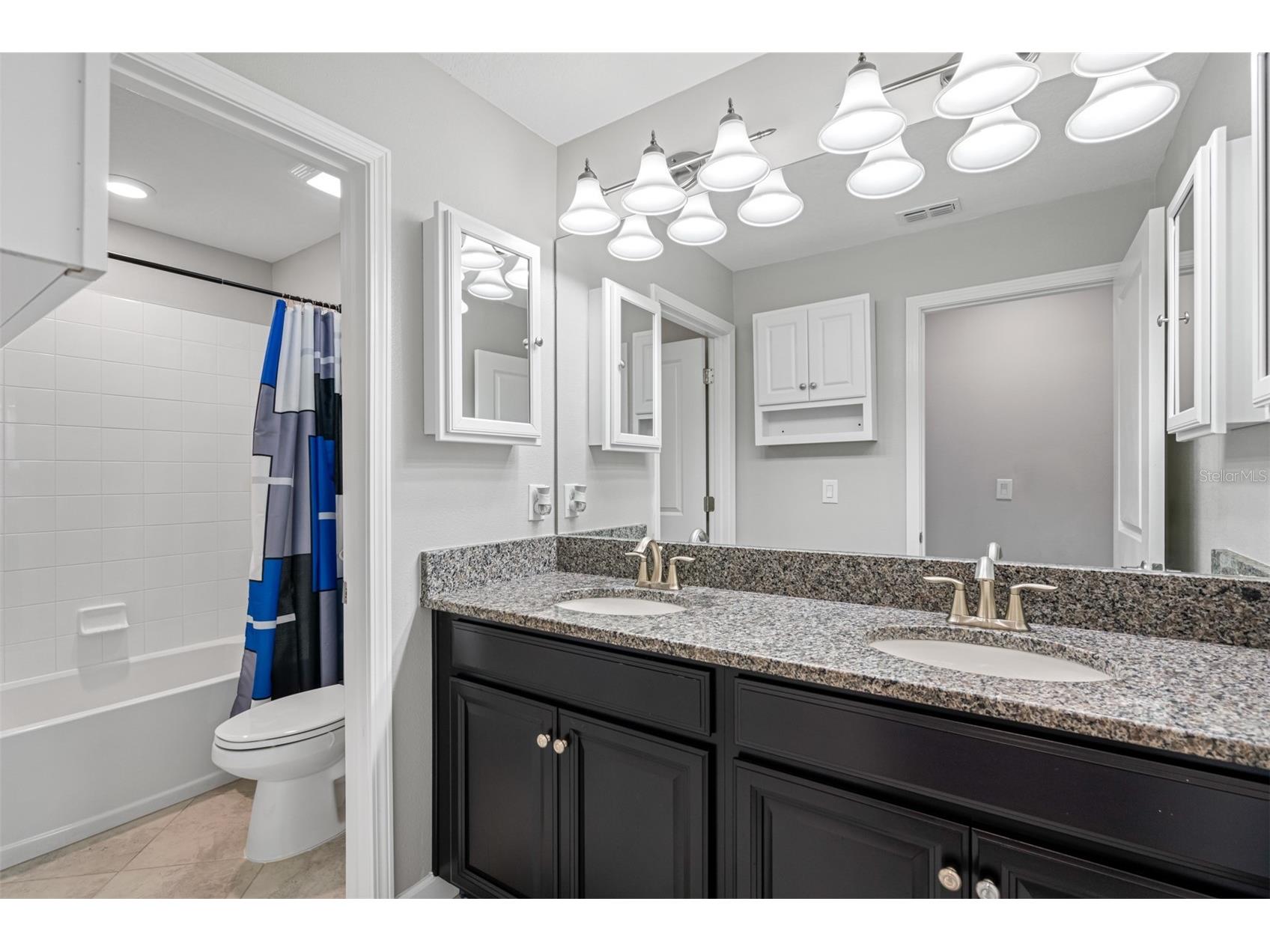 13333 Orca Sound Drive Riverview FL 33579 TB8449348 image37