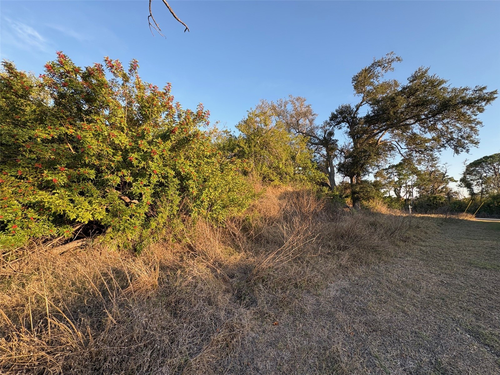 13333 Palau Circle Port Charlotte FL 33953 - JUNO WATERWAY N6143031 image4