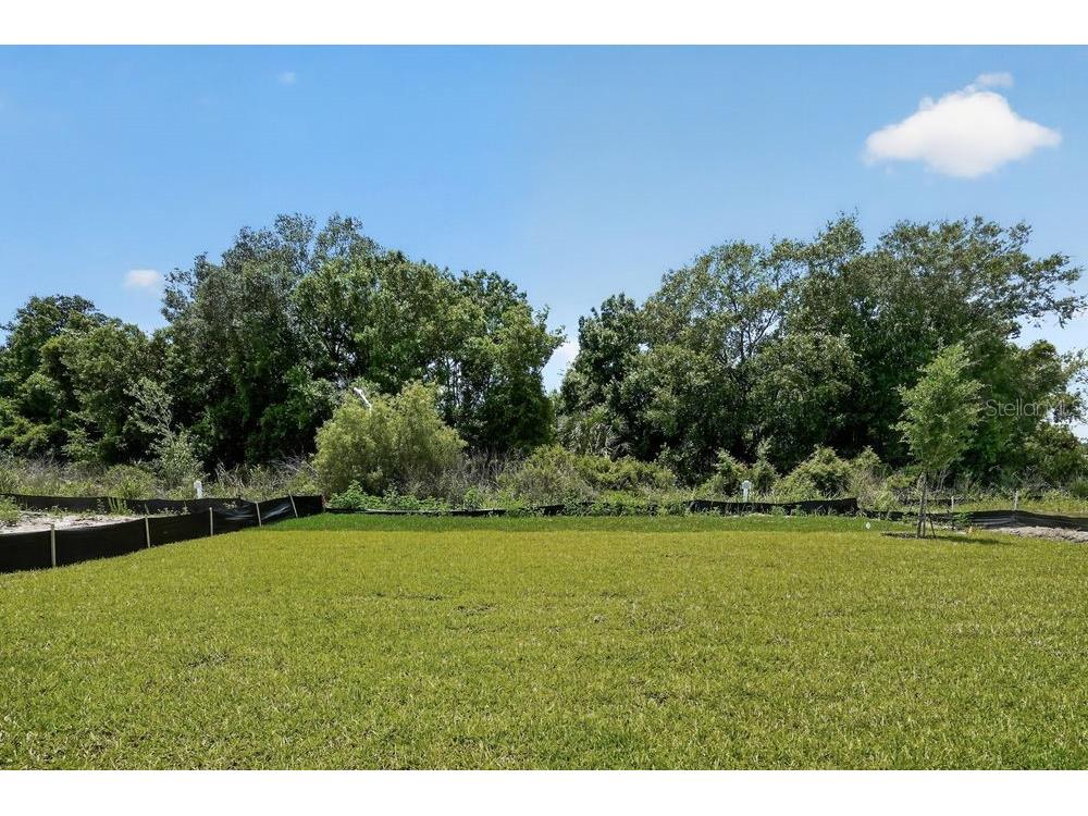 13333 Stable Place Parrish FL 34219 TB8495334 image36