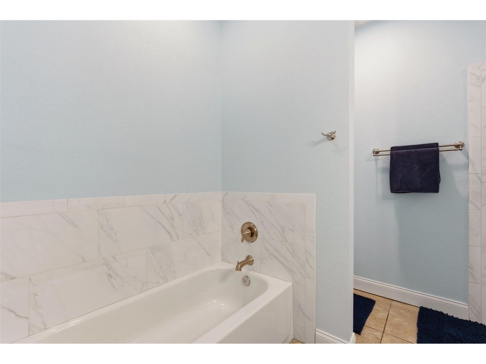 13334 Country Club Drive Tavares FL 32778 G5112037 image25