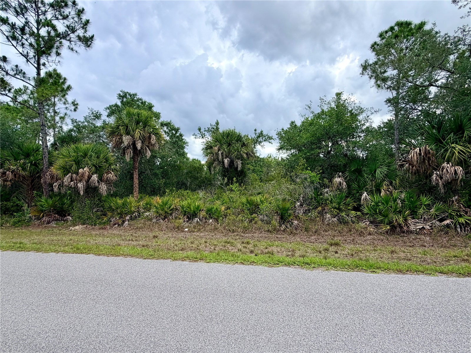 13334 Gold Avenue Port Charlotte FL 33953 C7527312 image5