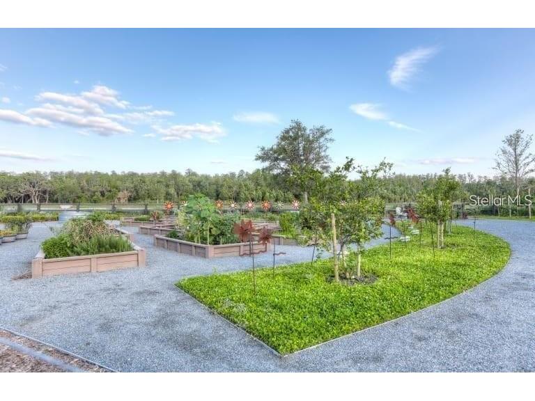 13335 Bovet Avenue Orlando FL 32827 O6412787 image43