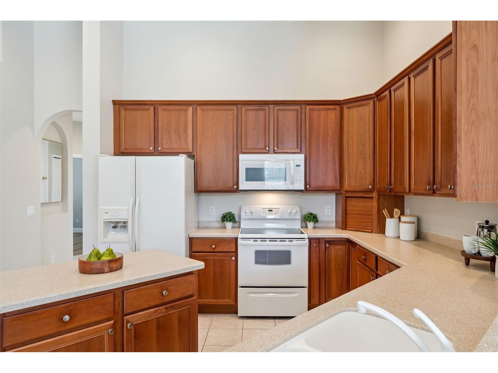 13335 Paloma Drive Orlando FL 32837 O6396266 image23