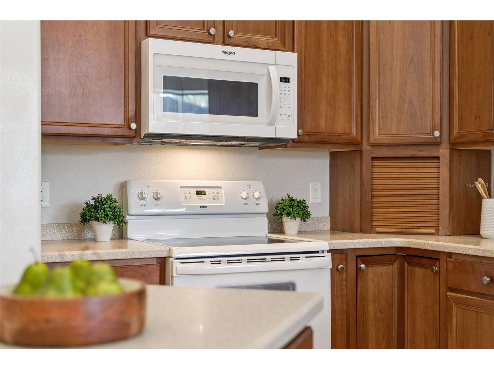 13335 Paloma Drive Orlando FL 32837 O6396266 image33