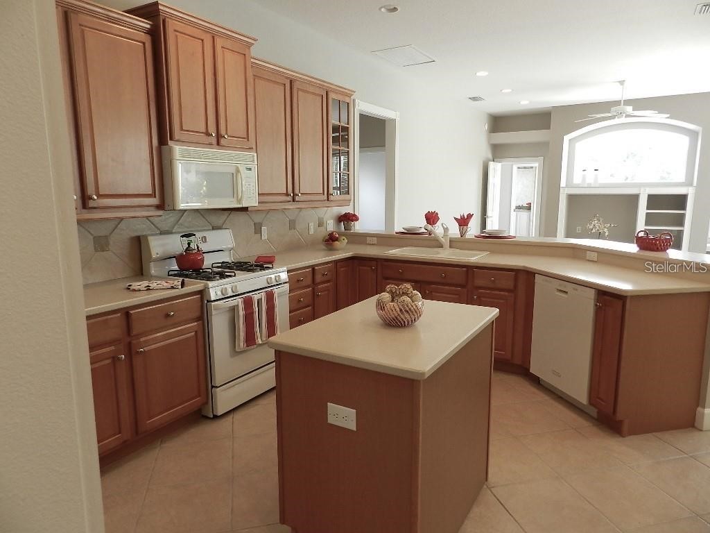 13335 Purple Finch Circle Bradenton FL 34202 A4695157 image19