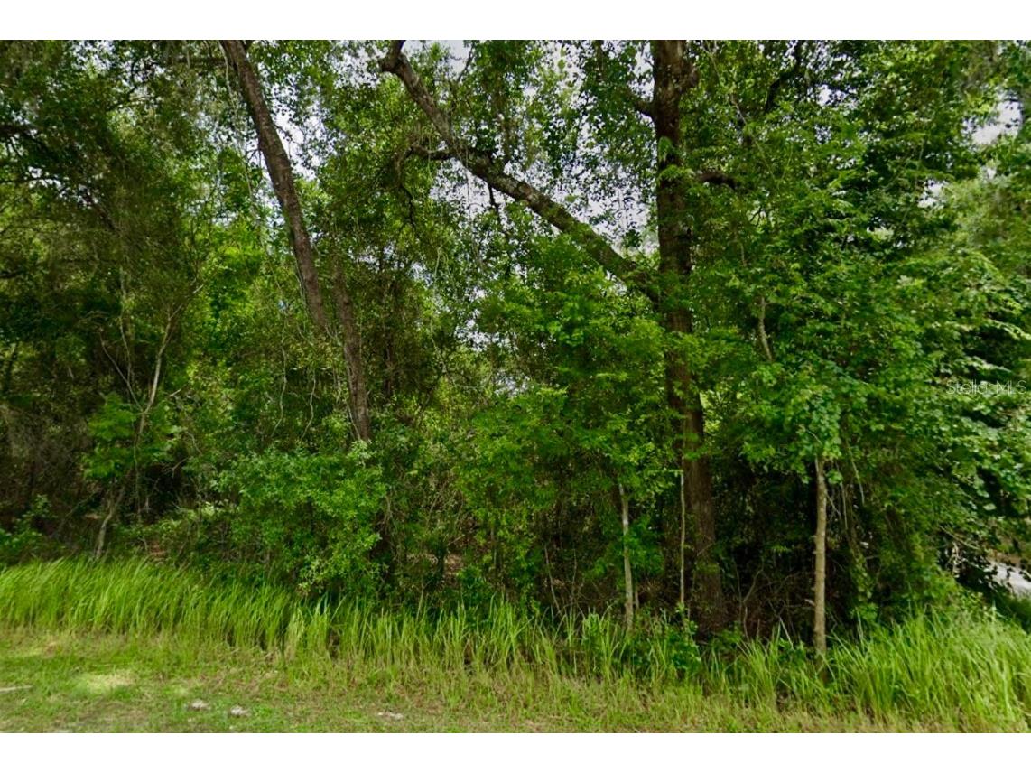 13335 SE 107th Court Ocklawaha FL 32179 T3541859 image1