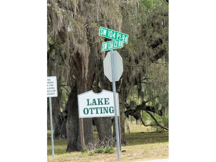 13337 SW 112 Street Dunnellon FL 34432 OM725965 image27