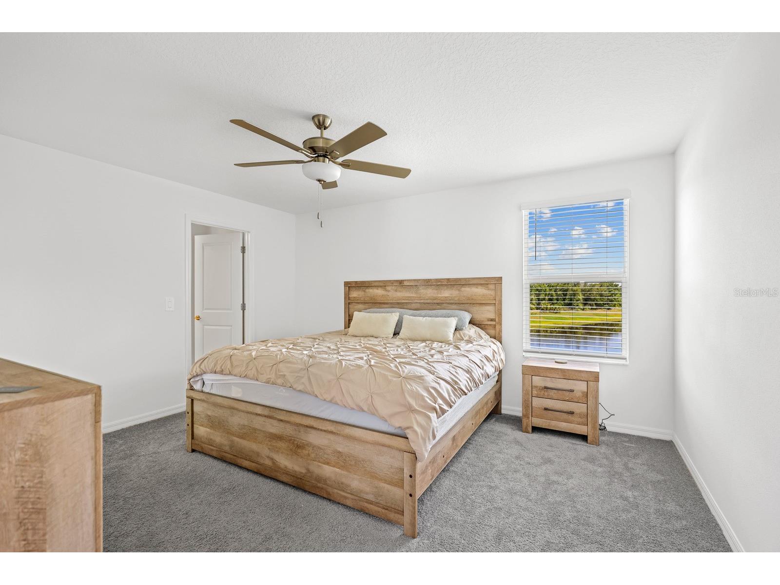 13337 Woodworth Way Riverview FL 33579 TB8510172 image8