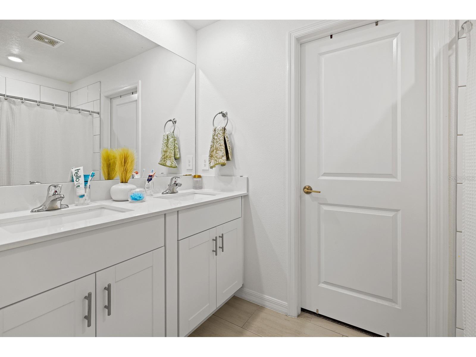 13337 Woodworth Way Riverview FL 33579 TB8510172 image9