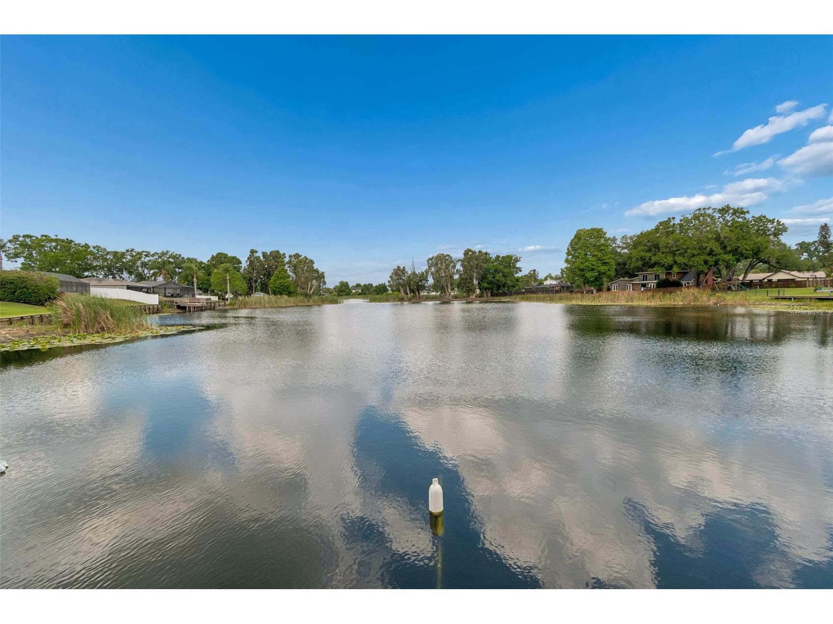 13338 Lake George Lane Tampa FL 33618 - Lake George TB8502880 image45