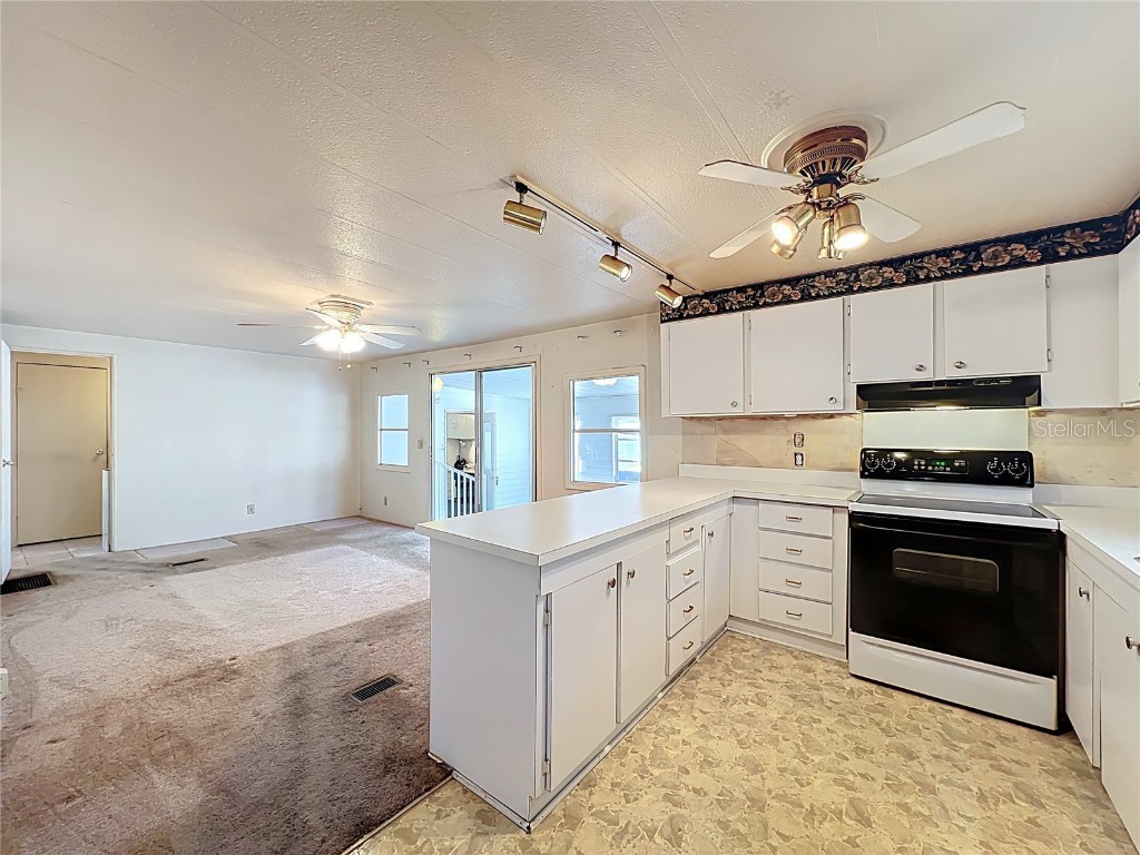 13338 Orange Blossom Street Astatula FL 34705 - CANAL TO HARRIS CHAIN OF LAKES G5104838 image11