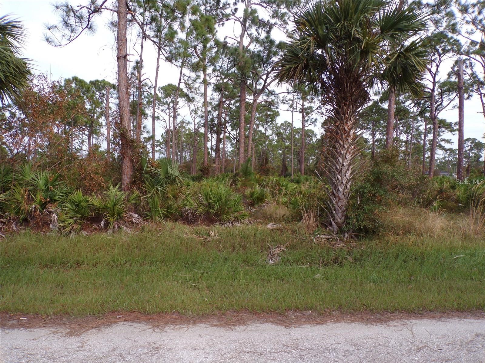 13338 Wedgewood Drive Punta Gorda FL 33955 A4698883 image2
