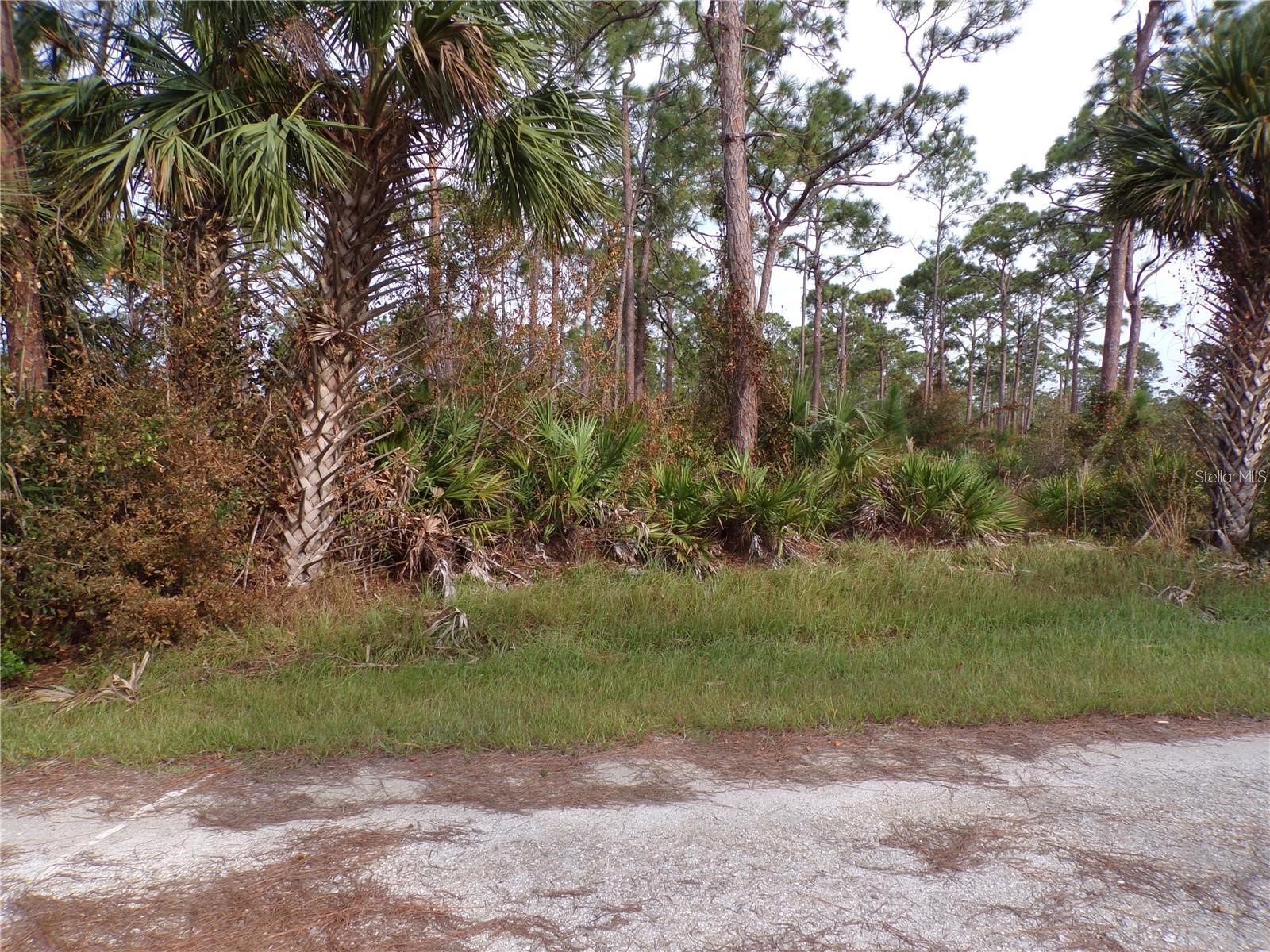 13338 Wedgewood Drive Punta Gorda FL 33955 A4698883 image4