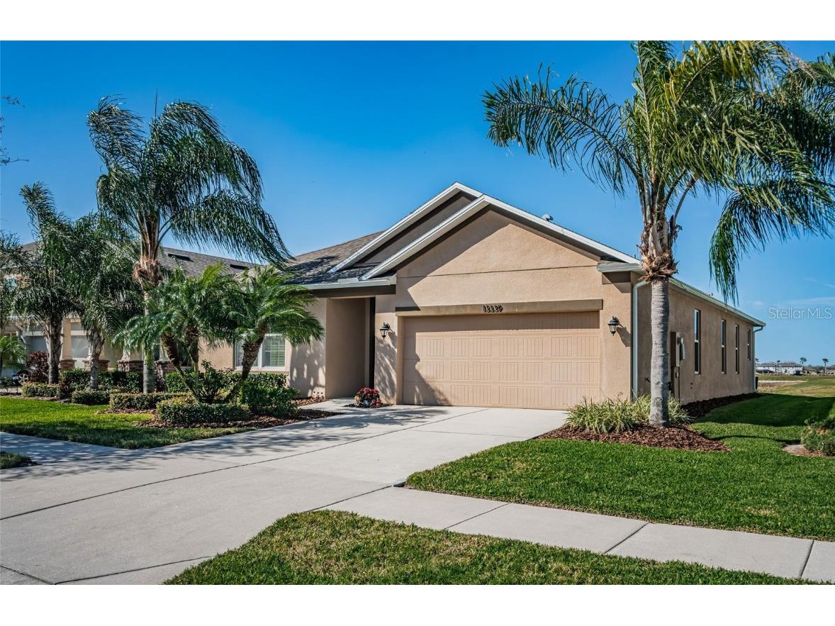 13339 Palmera Vista Drive Riverview FL 33579 T3503081 image1