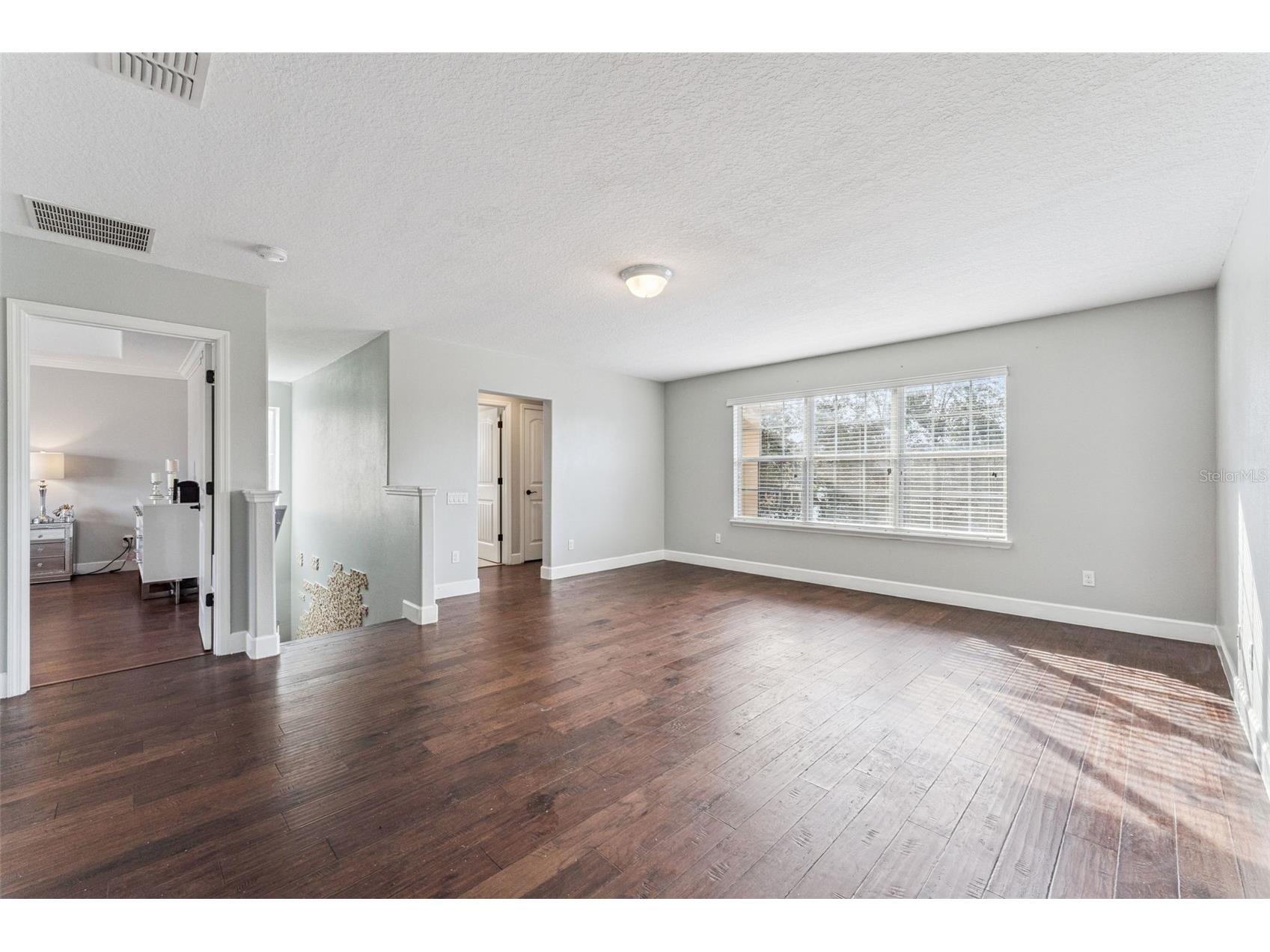 13339 Roskin Lane Windermere FL 34786 S5141148 image20