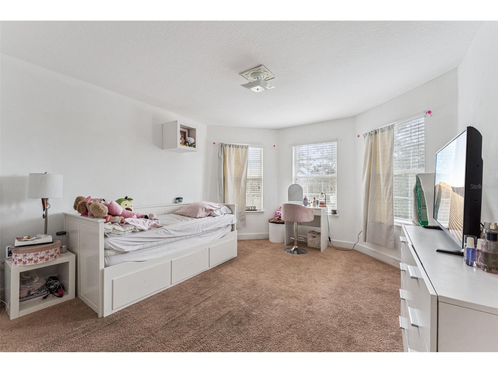 13339 Roskin Lane Windermere FL 34786 S5141148 image29