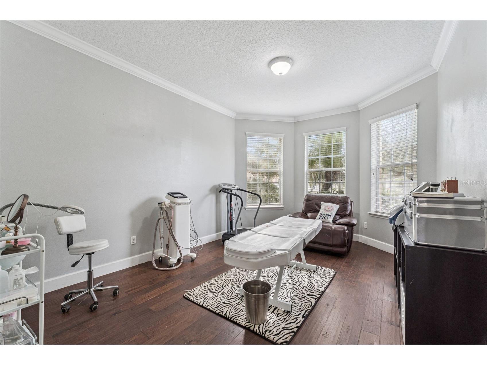 13339 Roskin Lane Windermere FL 34786 S5141148 image8