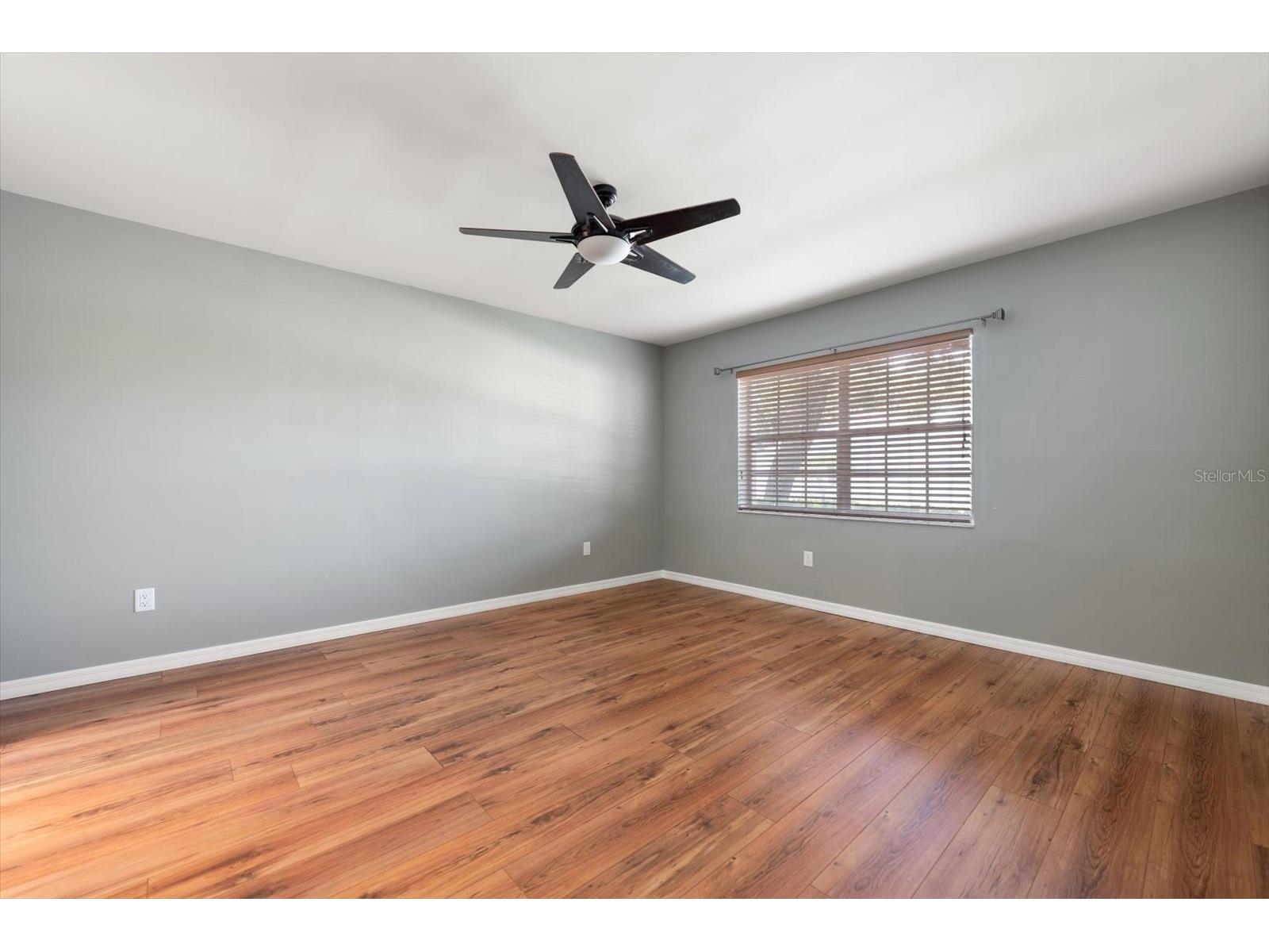 1334 Wickford Street Safety Harbor FL 34695 TB8511537 image16